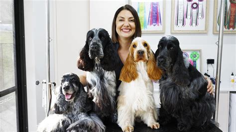 dog grooming cairns qld.